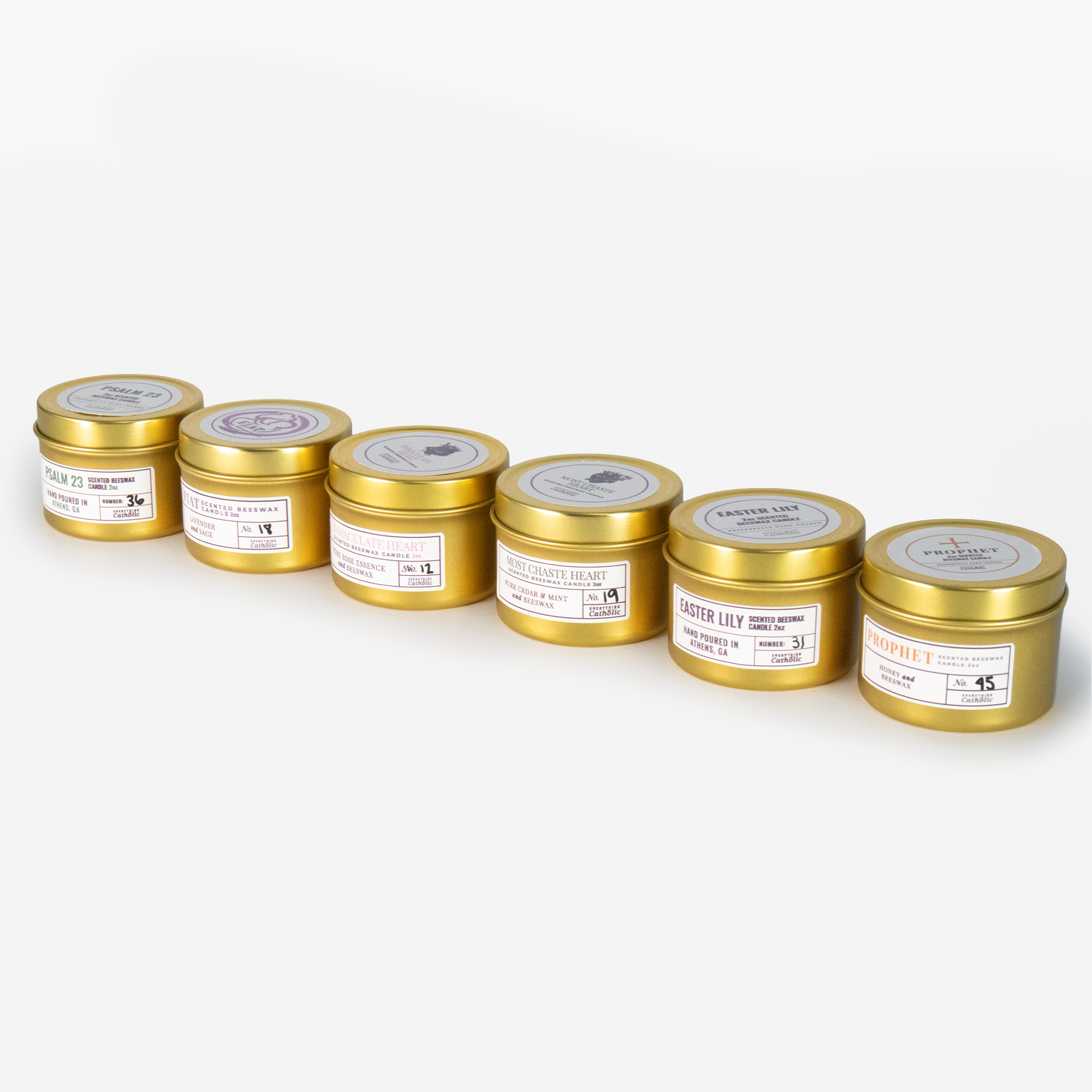 Botanical Discovery Set