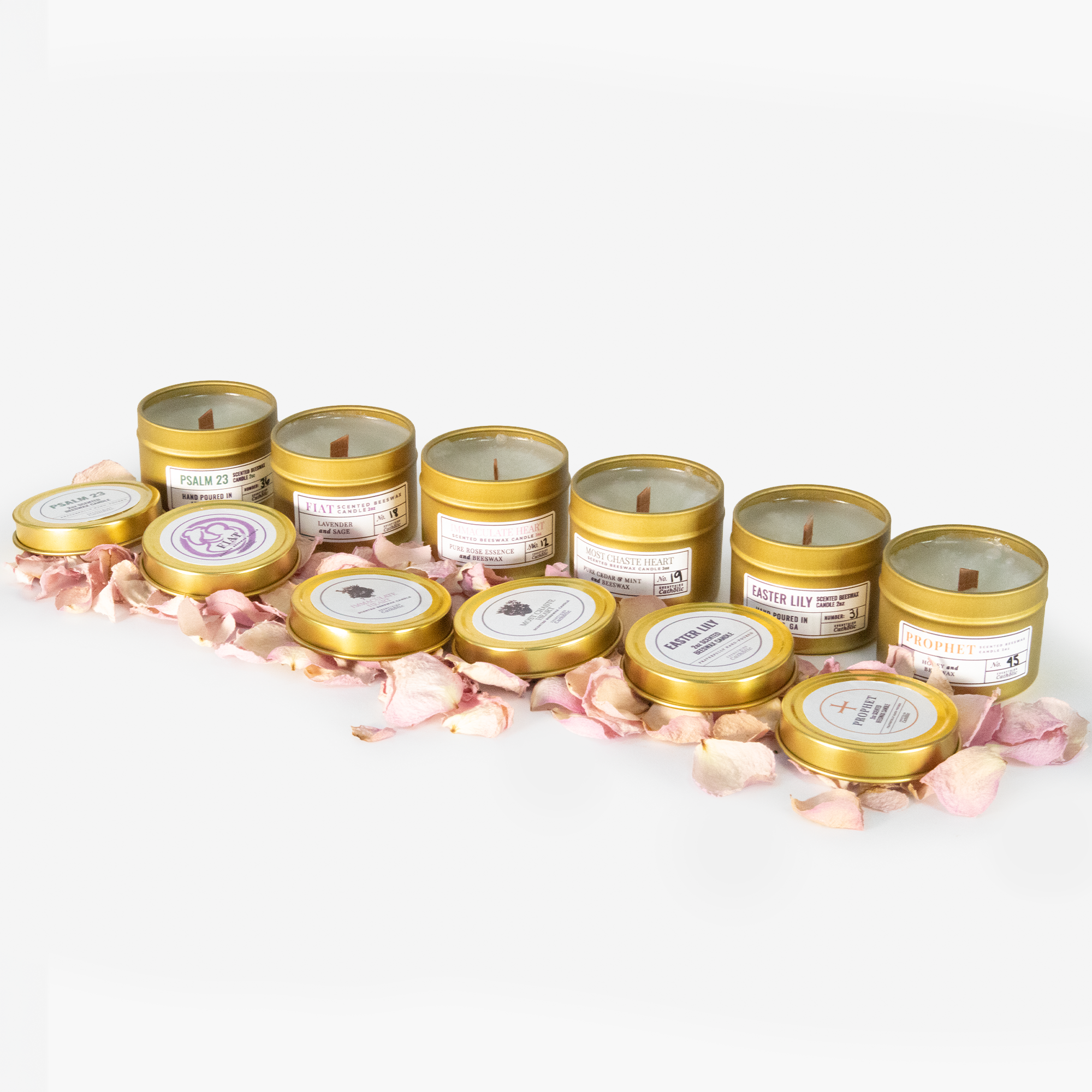 Botanical Discovery Set