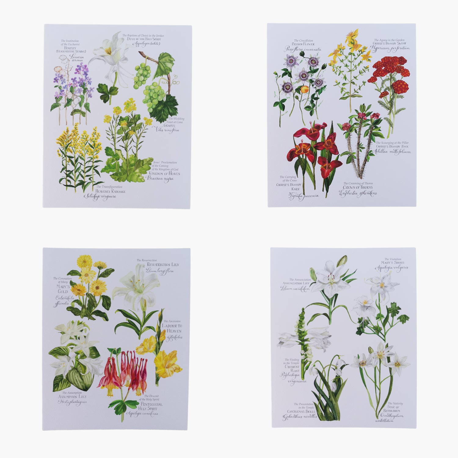 Botanical Rosary Collection (Complete Set of 4) 8x10 Watercolor Print