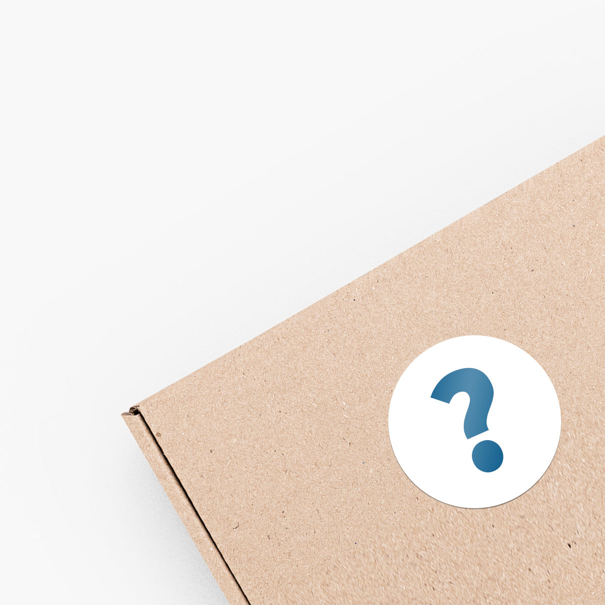Home Goods Mystery Box