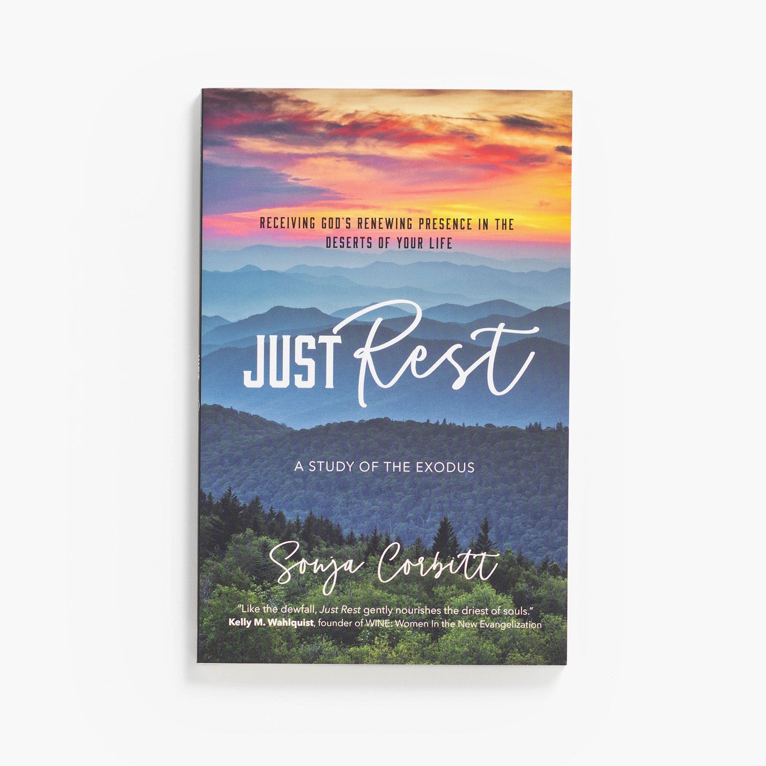Just Rest: Receiving God’s Renewing Presence in the Deserts of Your Life
