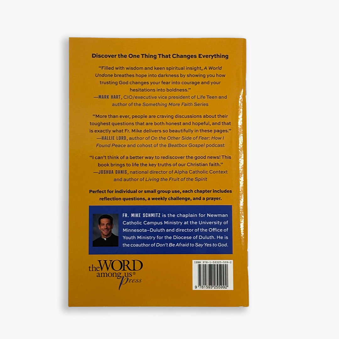 A World Undone: Finding God When Life Doesn't Make Sense