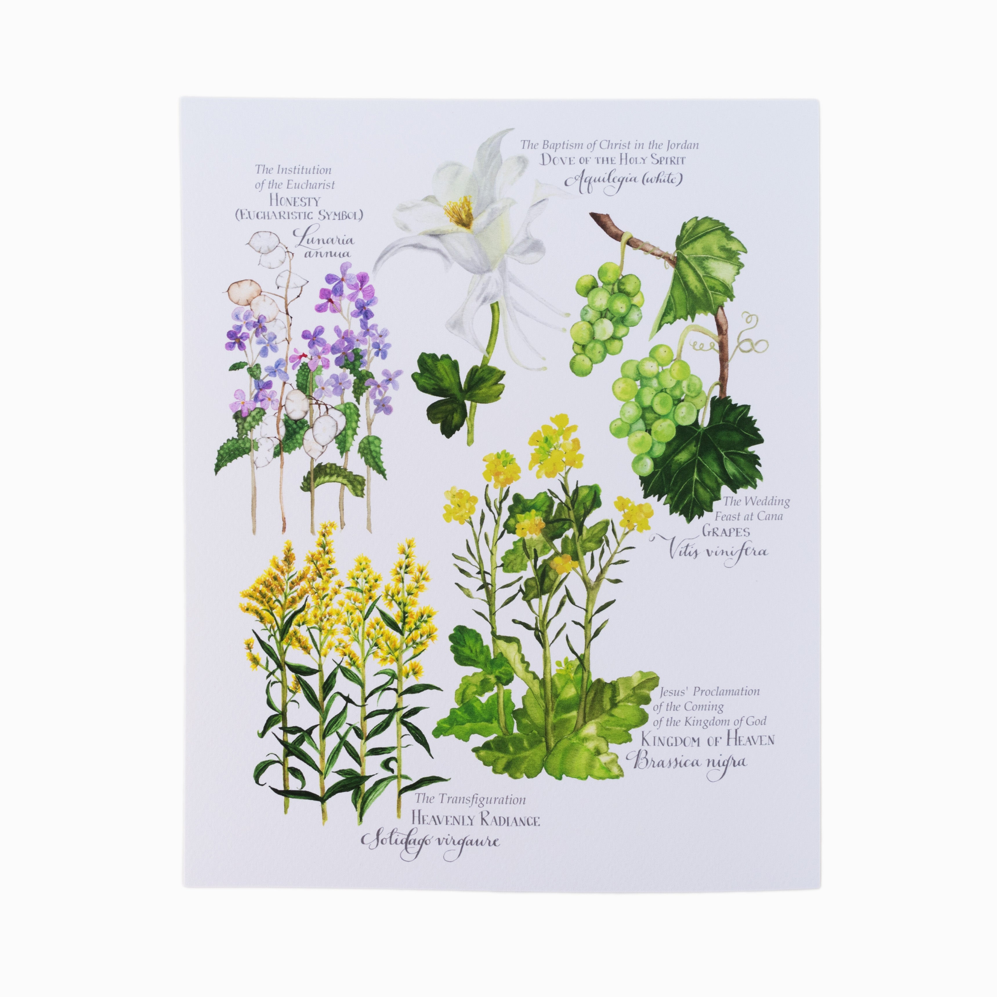 Botanical Rosary Collection (Complete Set of 4) 8x10 Watercolor Print